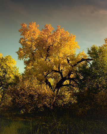 October on the Bosque