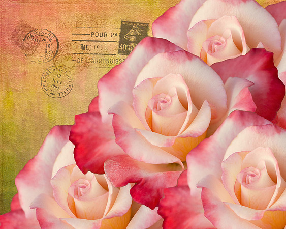 Creative Interpretation -  'Gemini'