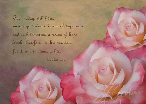 Sanskrit Poem with Roses