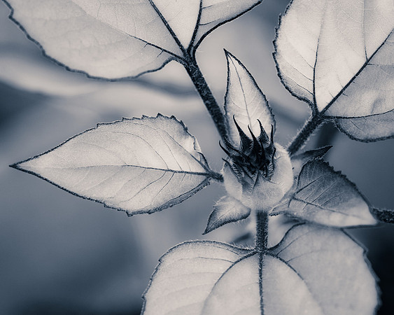 Exposed and Vulnerable