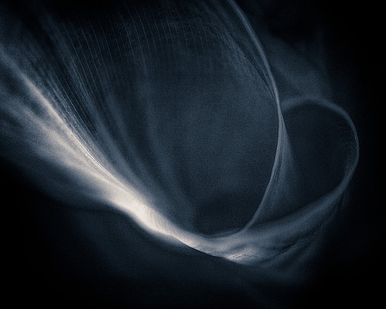 Spiraling into Darkness