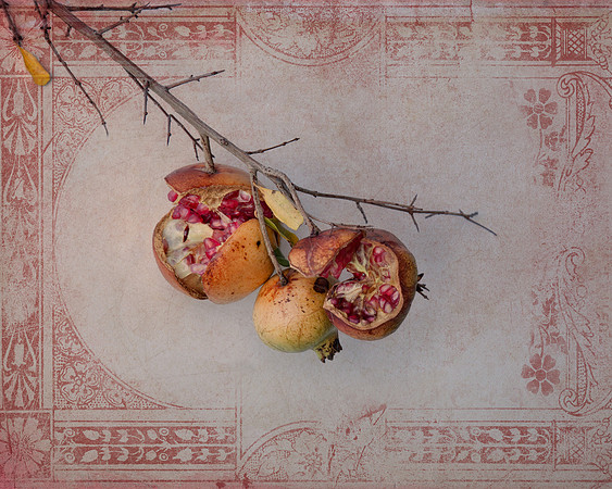 Fruit of Ancient Myths