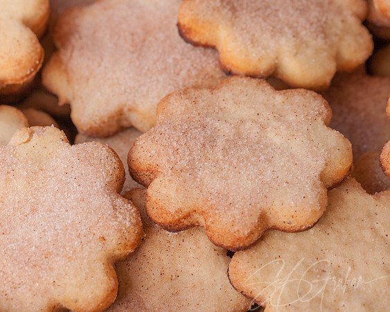 Food: Biscochitos, the State Cookie of New Mexico, Normal Color Vision