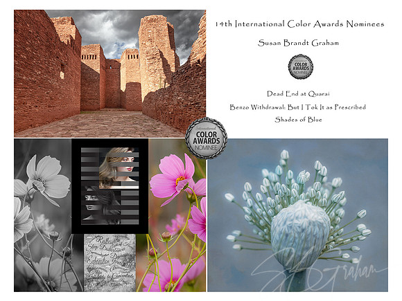 Nominees, 14th International Color Awards