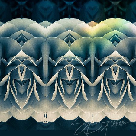 What Do You See? color