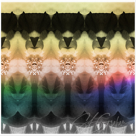 Sultans color