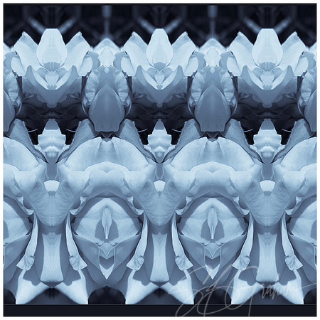 How Many Faces? color