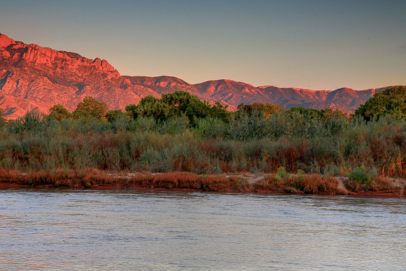 Bosque Sunset