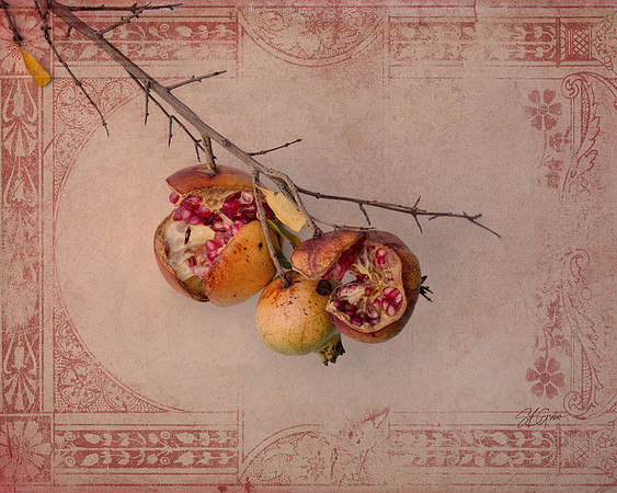 Fruit of Ancient Myths